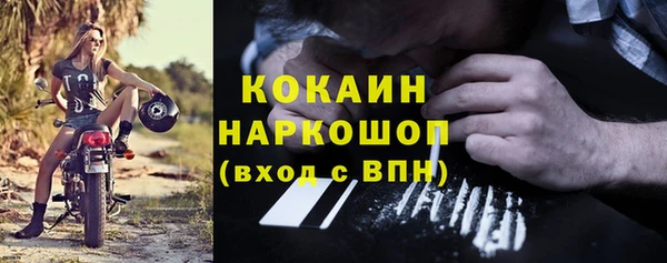 гидра Наволоки