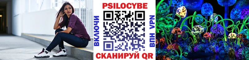 Псилоцибиновые грибы Psilocybe  Отрадный 