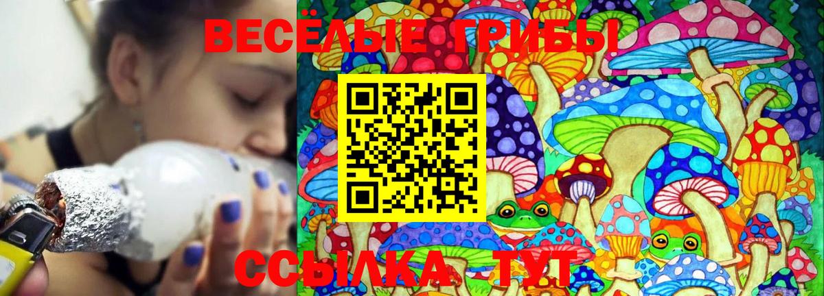 Отрадный  Галлюциногенные грибы GOLDEN TEACHER  Вход с VPN 